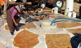 KERGE (BAĞ BOZUMU) BASTIK (PESTİL), CEVİZLİ SUCUK, KESME, KIRMA VE PEKMEZ