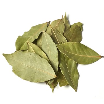 Defne Yaprağı 500 GR