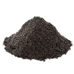 Ögütülmüş Kara Çörek Otu 250 GR