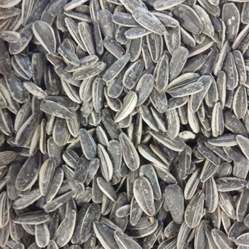 Dekote Çekirdek 500 GR Dekote Çekirdek 500 GR