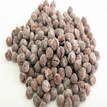 Kavrulmuş Kabuklu Fındık 500 GR