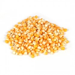 Patpatlık Mısır 250 GR