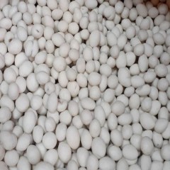 Şekerleme